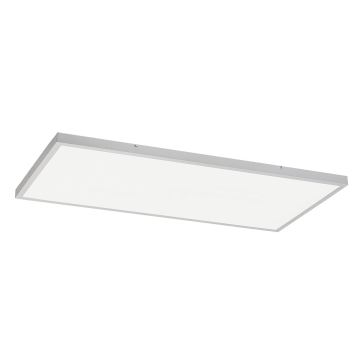 Rabalux - LED Surface-mounted panel LED/80W/230V 4000K 120x60 cm