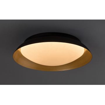 Rabalux - LED Ceiling light LED/20W/230V 3000K d. 30 cm