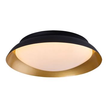 Rabalux - LED Ceiling light LED/20W/230V 3000K d. 30 cm