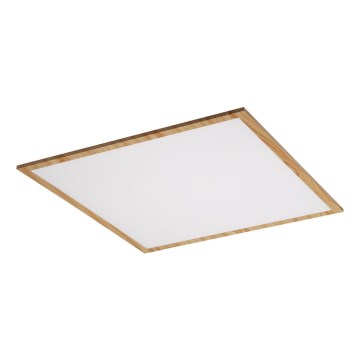 Rabalux - LED Attached panel LED/40W/230V 4000K