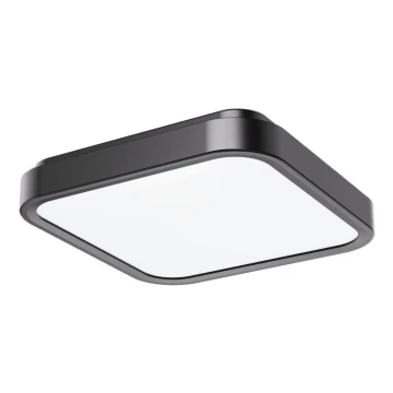 Rabalux - LED Bathroom ceiling light LED/18W/230V IP44 4000K 25x25 cm black