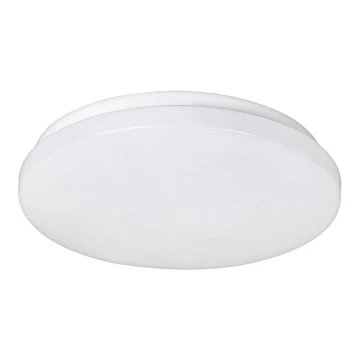 Rabalux - LED Ceiling light 1xLED/20W/230V