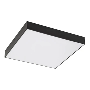 Rabalux - LED Ceiling light LED/24W/230V 3000-6000K IP44 black