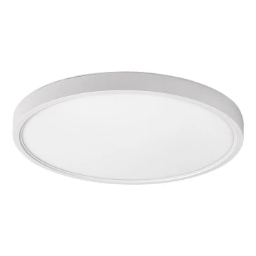 Rabalux - LED Ceiling light LED/24W/230V 4000K d. 30 cm white