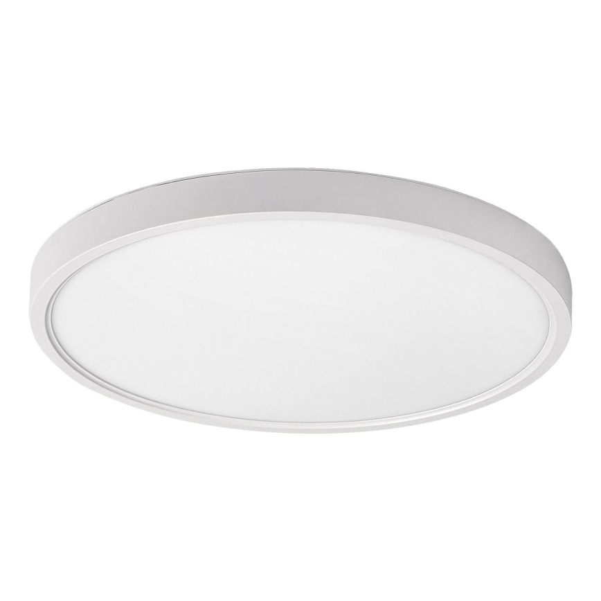 Rabalux - LED Ceiling light LED/24W/230V 4000K d. 30 cm white