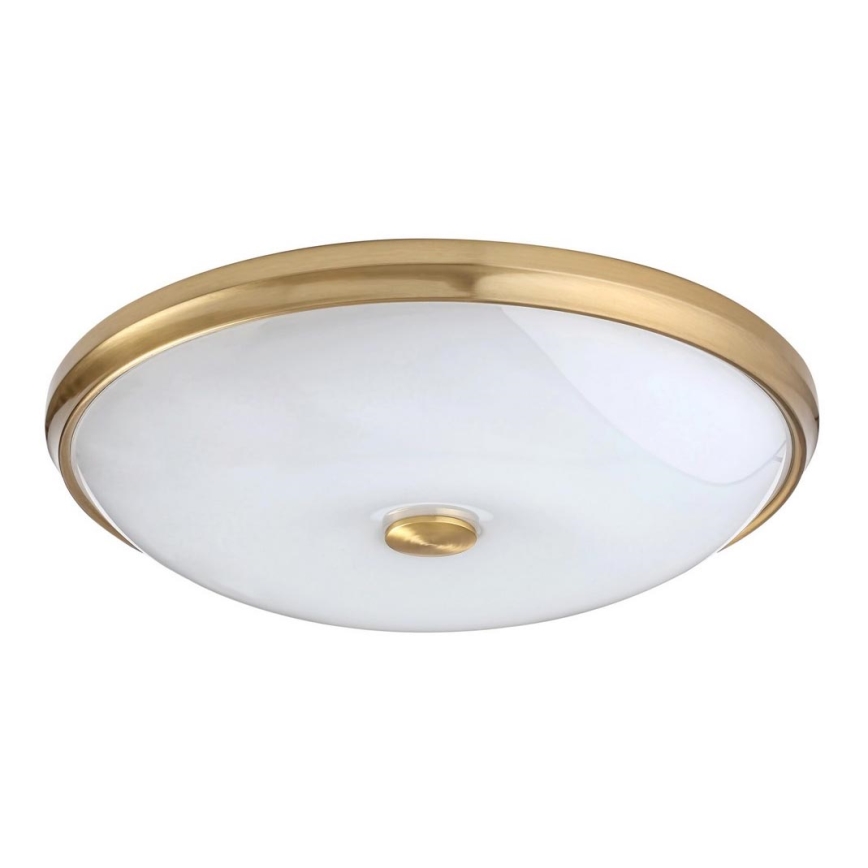 Rabalux - LED Ceiling light LED/24W/230V