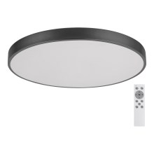 Rabalux - LED Dimmable ceiling light LED/60W/230V 60 cm + remote control