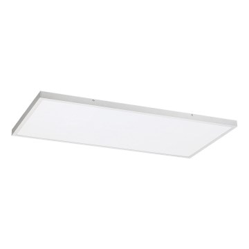 Rabalux - LED Surface-mounted panel LED/80W/230V 4000K 120x60 cm