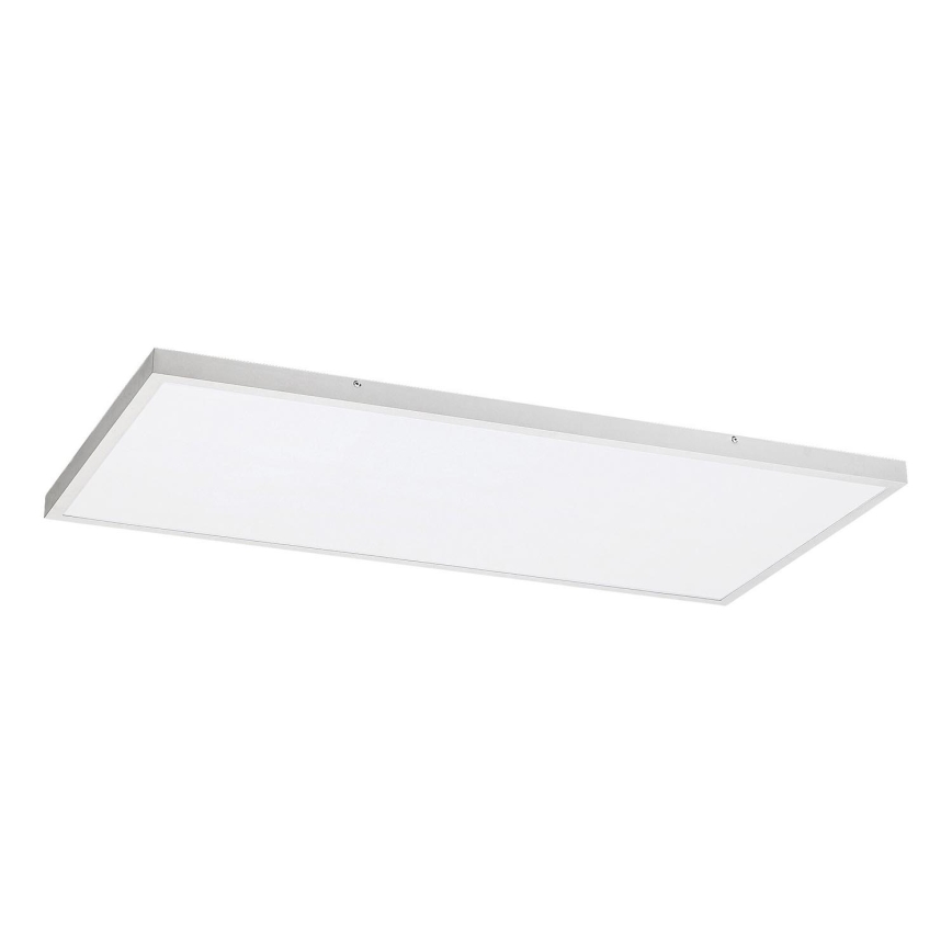 Rabalux - LED Surface-mounted panel LED/80W/230V 4000K 120x60 cm