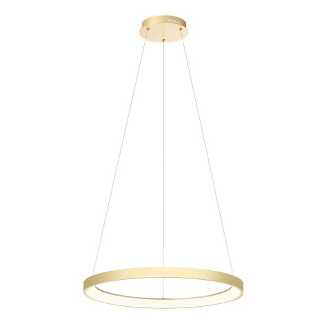Redo 01-2673 - LED Dimmable chandelier on a string ICONIC LED/50W/230V d. 58 cm gold