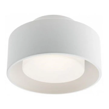 Redo 01-3096 - LED Ceiling light PUNKT LED/6W/230V white