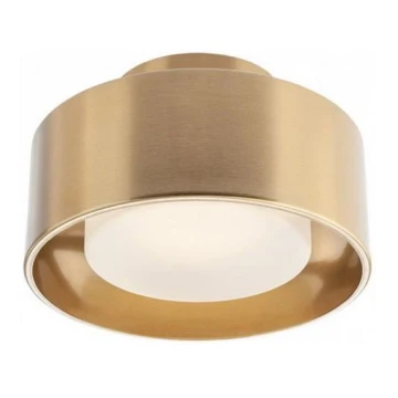 Redo 01-3097 - LED Ceiling light PUNKT LED/6W/230V brass