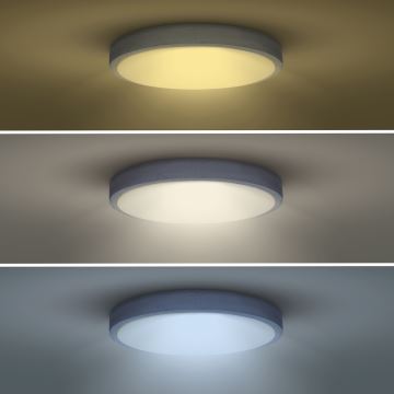 LED Dimmable ceiling light GREY LED/48W/230V 3000-6500K grey d. 38 cm + remote control