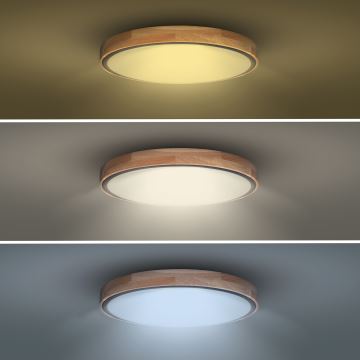 LED Dimmable ceiling light IRON OAK LED/48W/230V 3000-6500K oak d. 40 cm + remote control