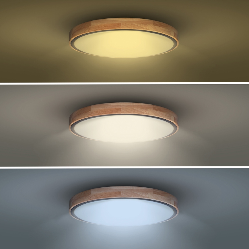 LED Dimmable ceiling light IRON OAK LED/48W/230V 3000-6500K oak d. 40 cm + remote control