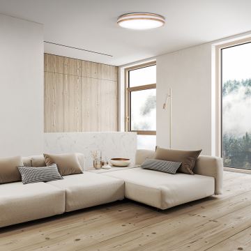 LED Dimmable ceiling light WOODY LED/48W/230V 3000-6500K oak d. 38 cm + remote control