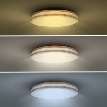 LED Dimmable ceiling light WOODY LED/48W/230V 3000-6500K oak d. 38 cm + remote control