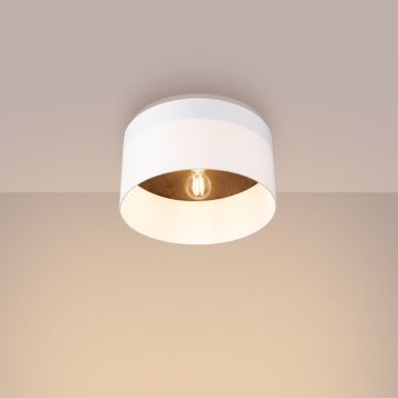 Ceiling light TELESTO 1xE27/15W/230V d. 35 cm white/brown