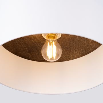 Ceiling light TELESTO 1xE27/15W/230V d. 35 cm white/brown