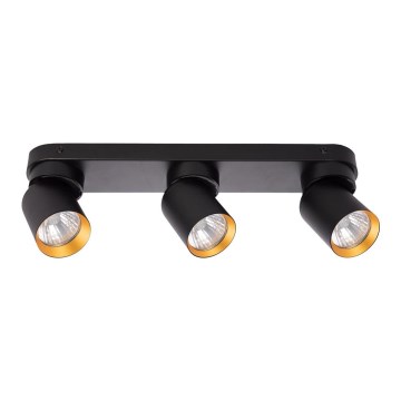 Spotlight ANDY 3xGU10/8W/230V black/gold