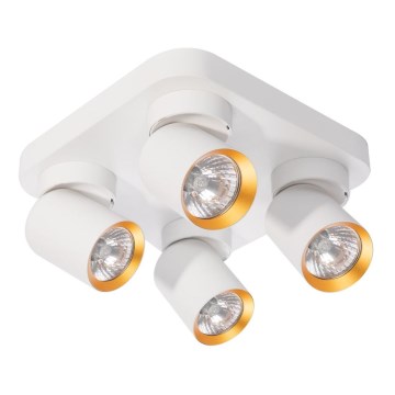 Spotlight ANDY 4xGU10/8W/230V white/gold