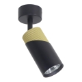 Spotlight NEO 1xGU10/8W/230V black/gold