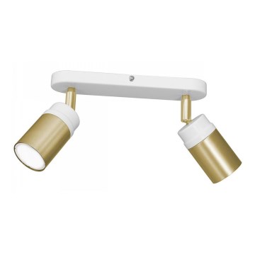 Spotlight NEST 2xGU10/8W/230V white/brass