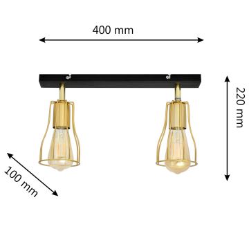 Spotlight TUBE 2xE27/60W/230V gold/black