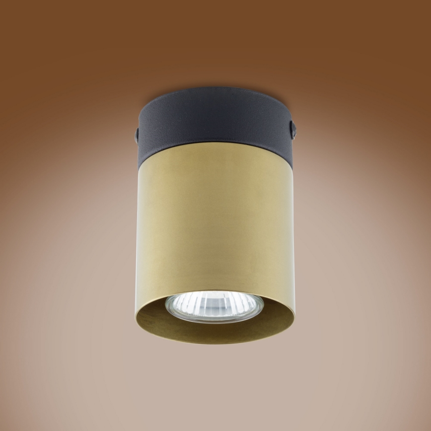 Spotlight VICO GOLD 1xGU10/10W/230V