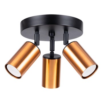 Spotlight WINX 3xGU10/10W/230V black/copper