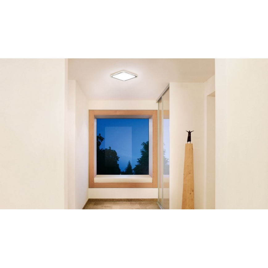 Steinel 052539 - LED Ceiling light with sensor LED/9,5W/230V