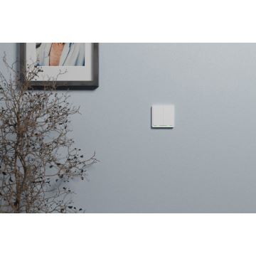 TESLA Smart - Smart home switch 2P 230V Zigbee