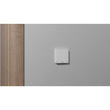 TESLA Smart - Smart home switch 2P 230V Zigbee