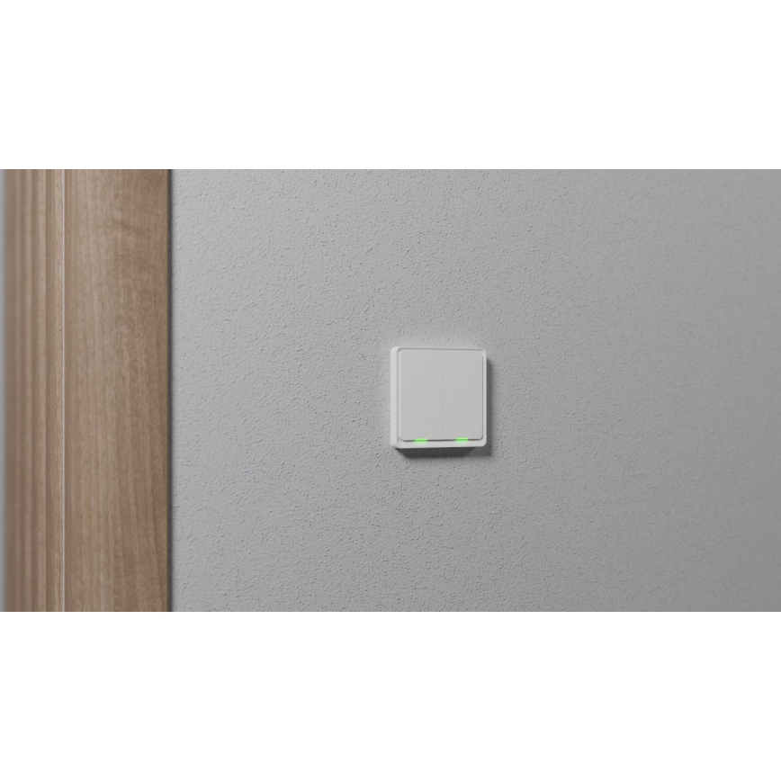 TESLA Smart - Smart home switch 2P 230V Zigbee