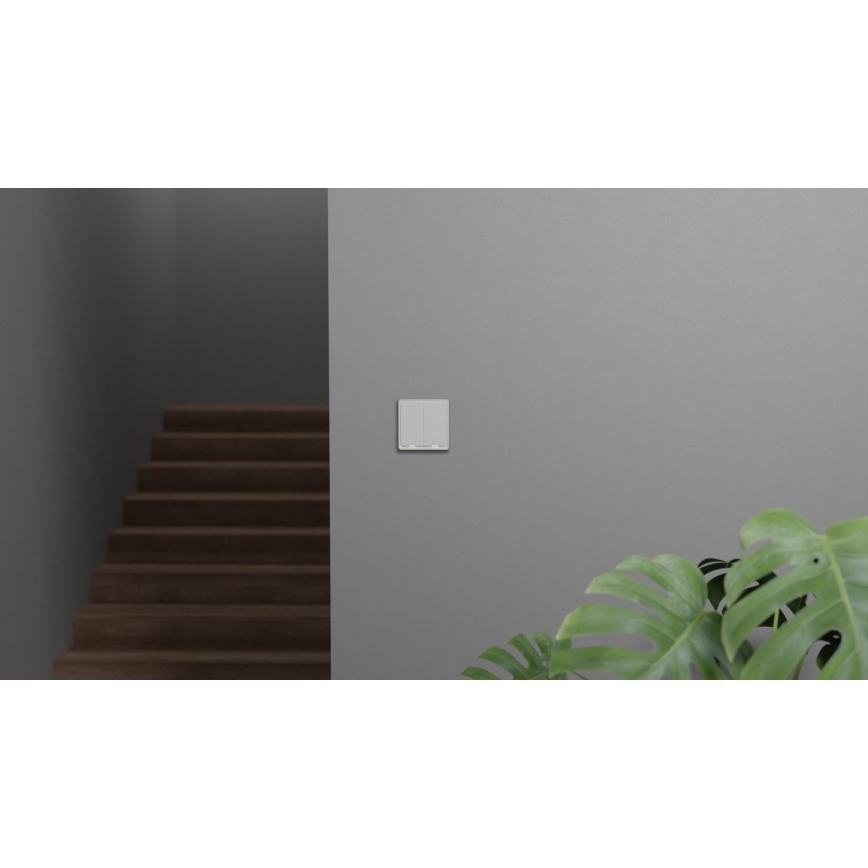 TESLA Smart - Smart home switch 2P 230V Zigbee