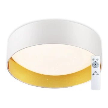 Top Light - LED Dimmable ceiling light IVONA 40B RC LED/24W/230V + remote control white