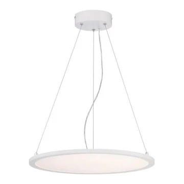 Westinghouse 65751 - LED Dimmable chandelier on a string ATLER LED/32W/230V 45 cm