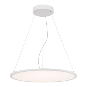Westinghouse 65775 - LED Dimmable chandelier on a string ATLER LED/40W/230V 60 cm