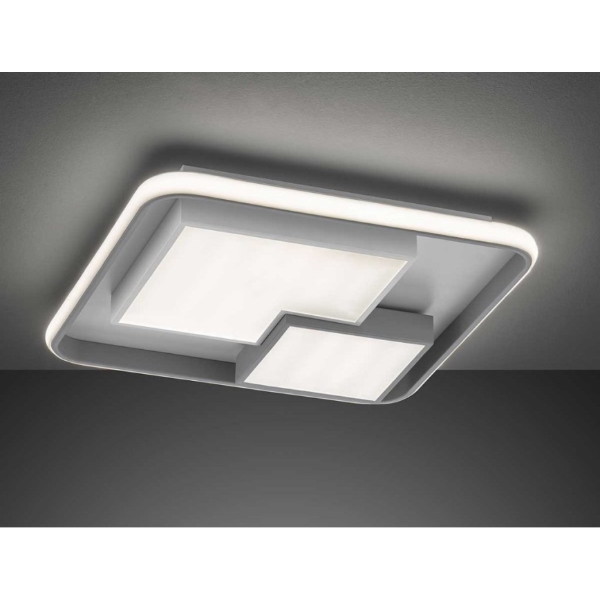 Wofi 11610 - LED Dimmable ceiling light FELA LED/40,5W/230V 3000K