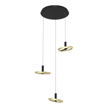 Wofi 5016-304 - LED Dimmable chandelier on a string BREST LED/26W/230V black/gold