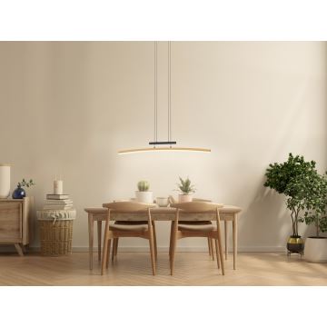 Wofi 7020-106 - LED Dimmable chandelier on a string BOLOGNA LED/27W/230V