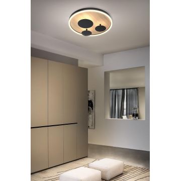 Wofi 9013-306S - LED Dimmable ceiling light REIMS LED/26W/230V