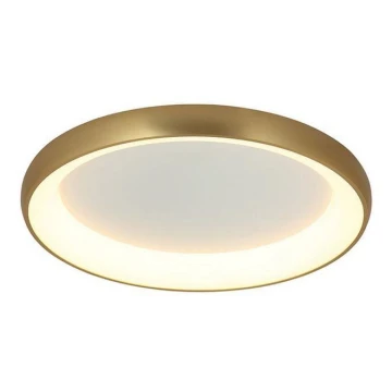 Zambelis 2058 - LED Dimmable ceiling light LED/60W/230V d. 80 cm gold