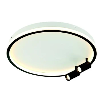 Zambelis 22014 - LED Dimmable ceiling light LED/71W/230V black