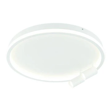 Zambelis 22015 - LED Dimmable ceiling light LED/71W/230V white