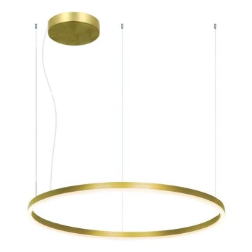 Zambelis 22240 - LED Dimmable chandelier on a string LED/57W/230V 3000K d. 80 cm gold