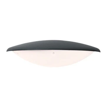 Zambelis E115 - LED Outdoor wall light LED/6W/230V IP54 anthracite