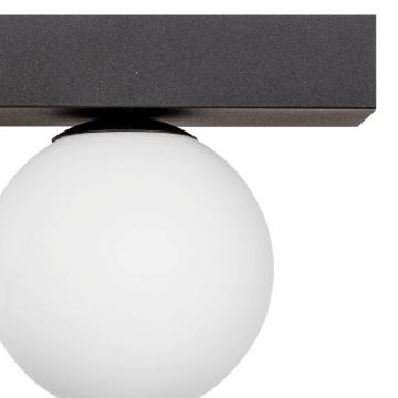 Zuma Line - Ceiling light 2xG9/8W/230V black