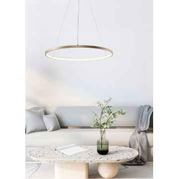 Zuma Line - LED Chandelier on a string LED/28W/230V 3000/4000/6000K d. 60 cm gold