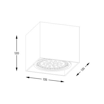 Zuma Line - Spotlight 1xGU10-ES111/15W/230V white